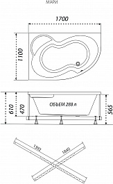 Triton Акриловая ванна Мари 170x110 R – фотография-7